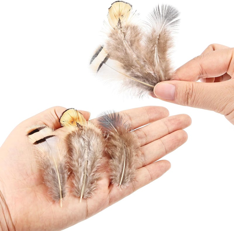 Daieeparty 180pcs Small Pheasant Feathers 6 Style Mixed Feathers Natural Feathers for Crafting Wedding Dream Catcher Hats Decoration - Image 3